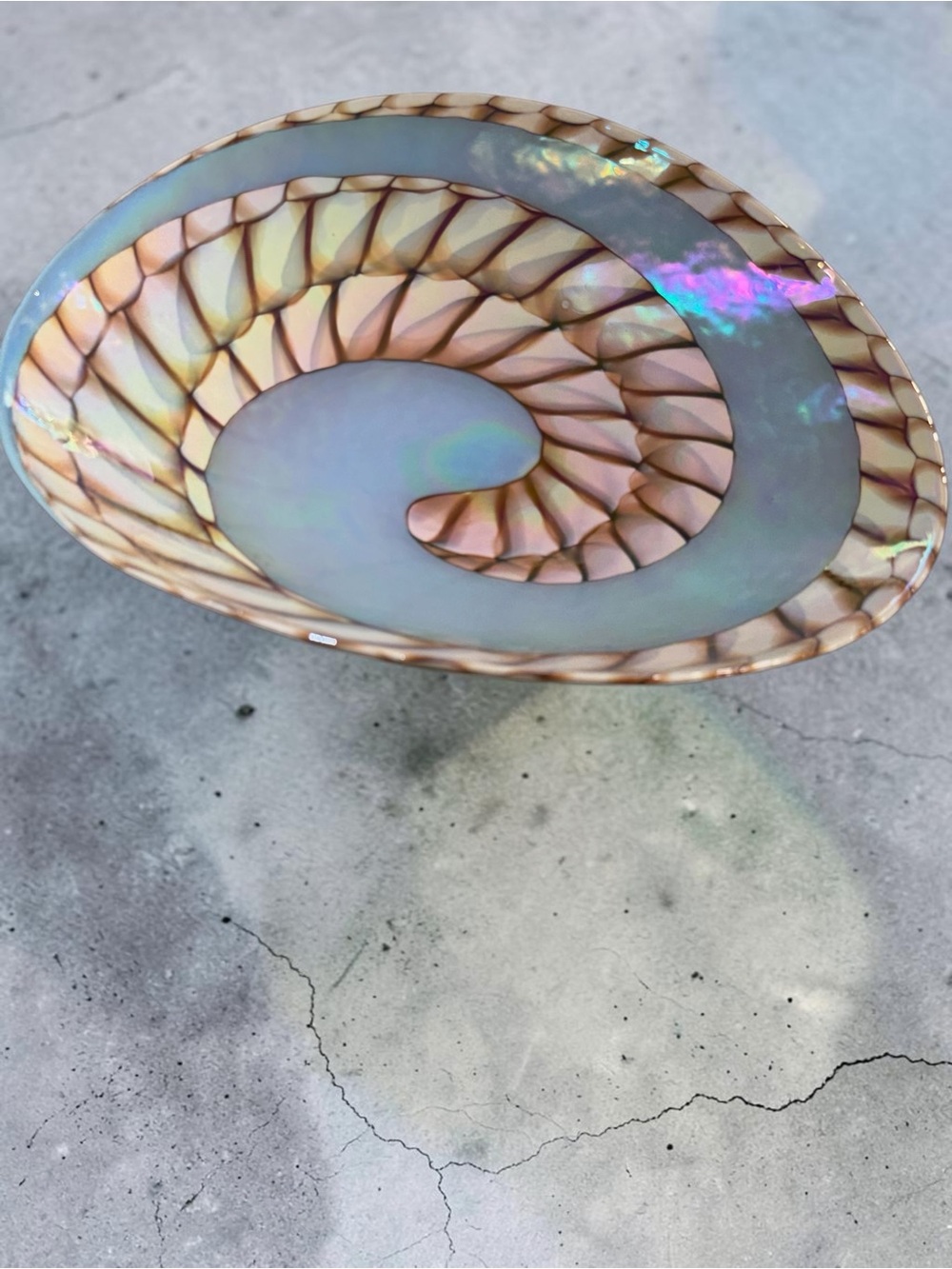 Yalos Murano Fornace Ferro Tuareg Iridescent Nautilus Shell Glass Bowl 20” - Picture 8 of 14